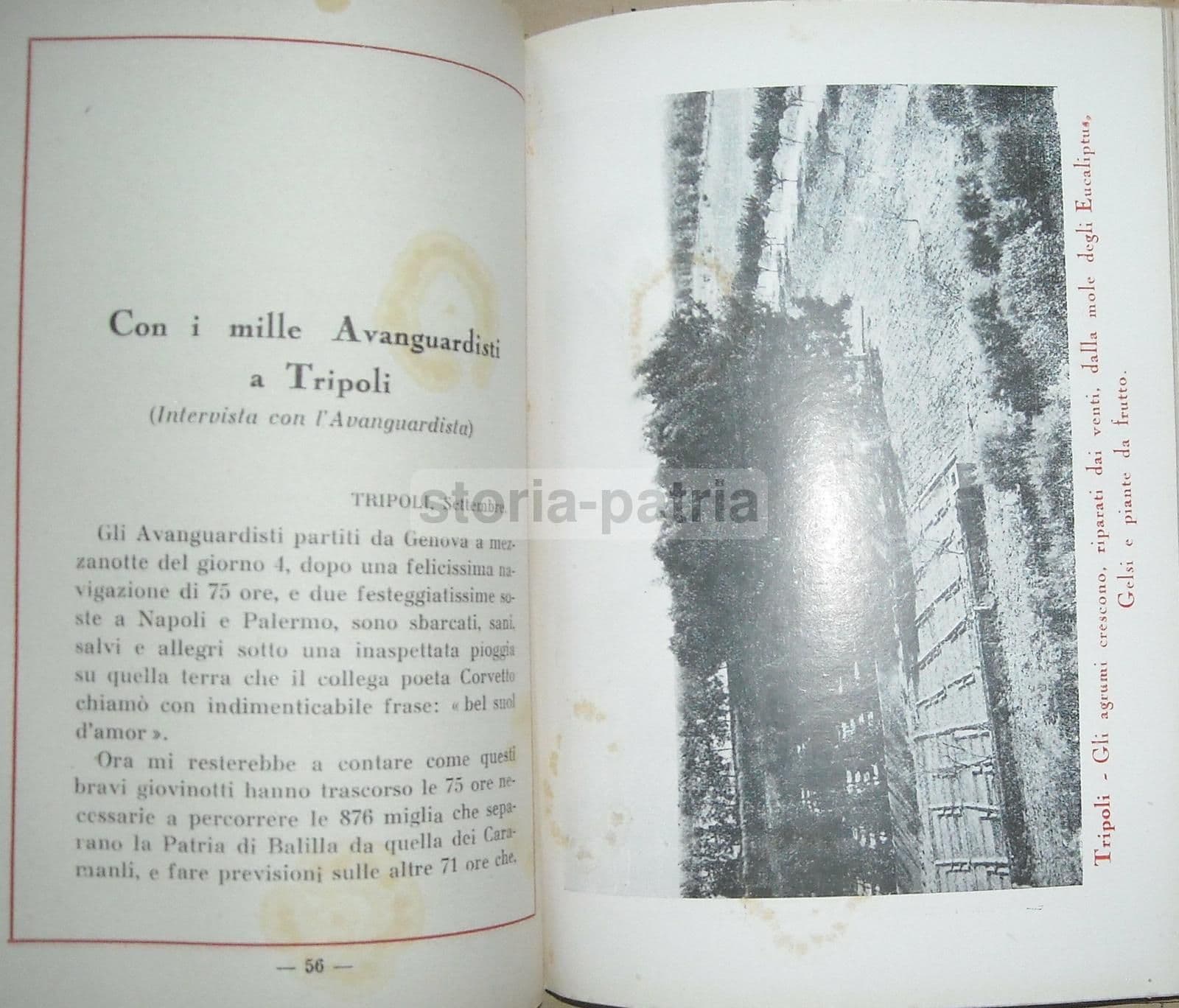 La Crociera Mediterranea Degli Avanguardisti (1927). Opera Nazionale Balilla.