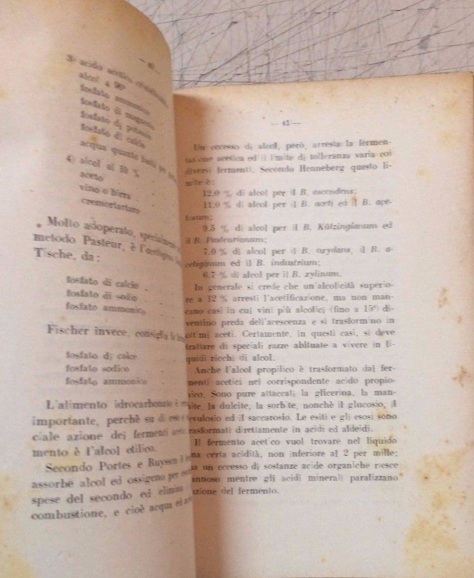 L'Aceto Di Carpentieri 1947 Biblioteca Agraria Ottavi Enologia