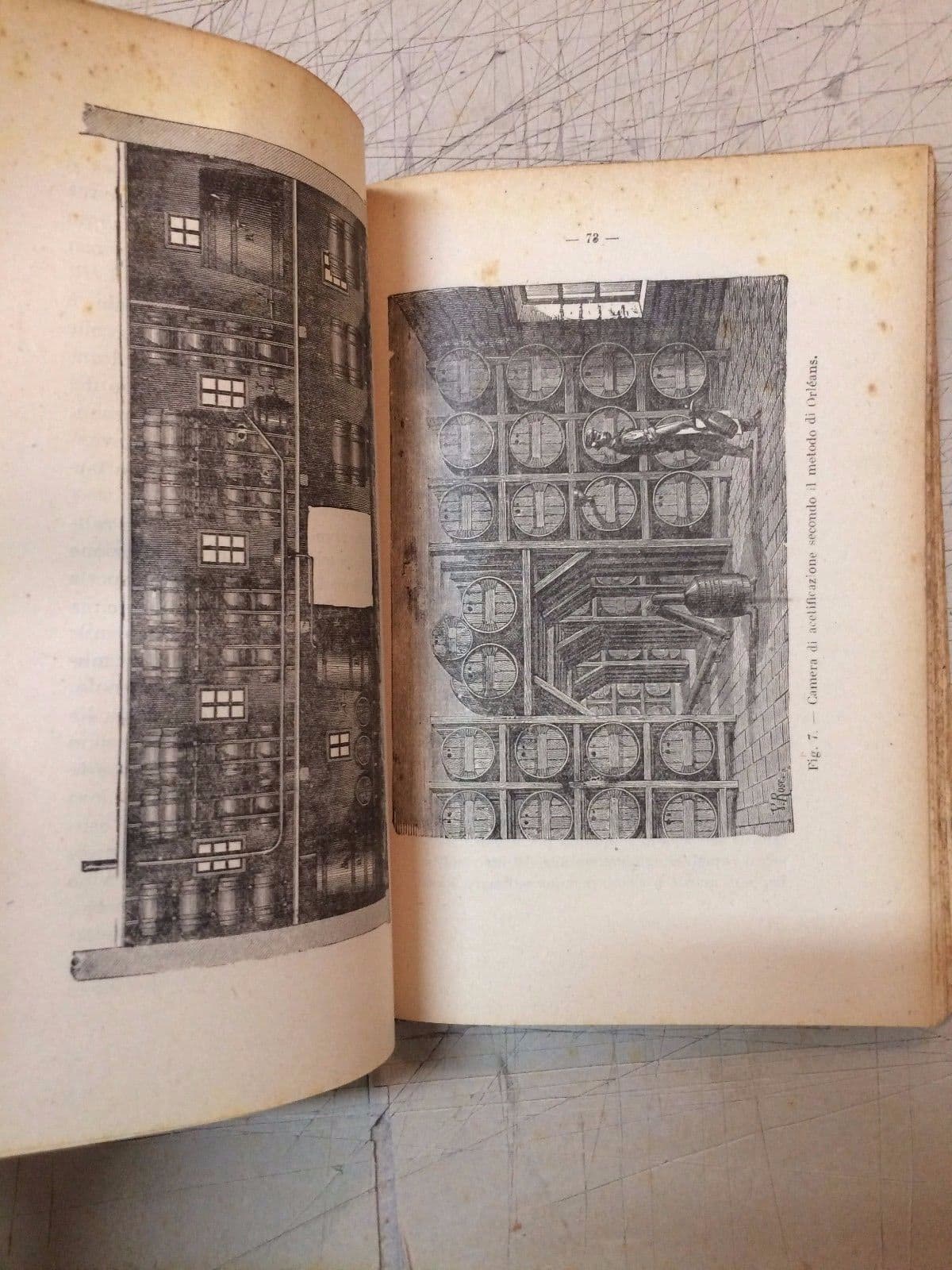 L'Aceto Di Carpentieri 1947 Biblioteca Agraria Ottavi Enologia