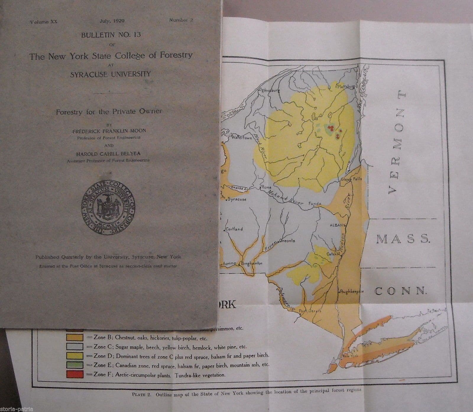 Bollettino Forestale New York 1920: Foreste Private E Silvicoltura Illustrata