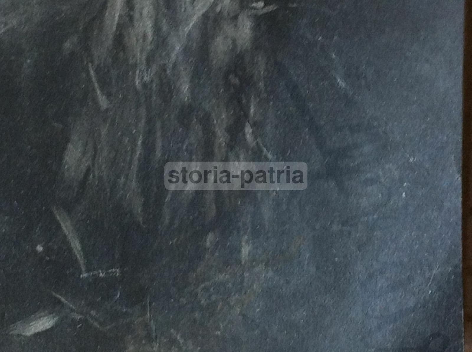 Ritratto Della Regina Margherita Di Savoia, Fotografia Di Francesco Paolo Michetti