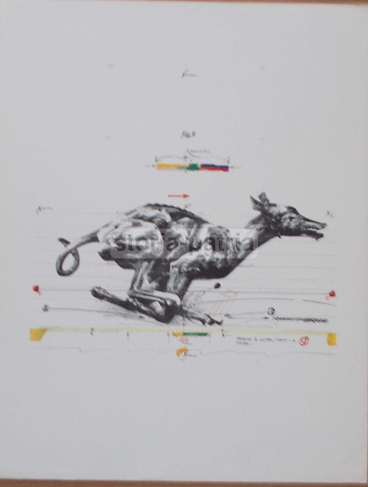 Vladimir Velickovic: Animals In Motion, Dog N. 9. Grafica Bolaffiarte Originale.