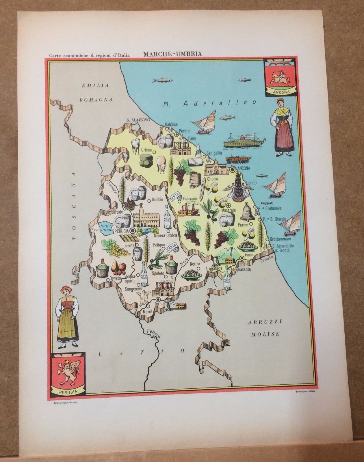 Mappa Economica Marche E Umbria, Anni '50, Bolis