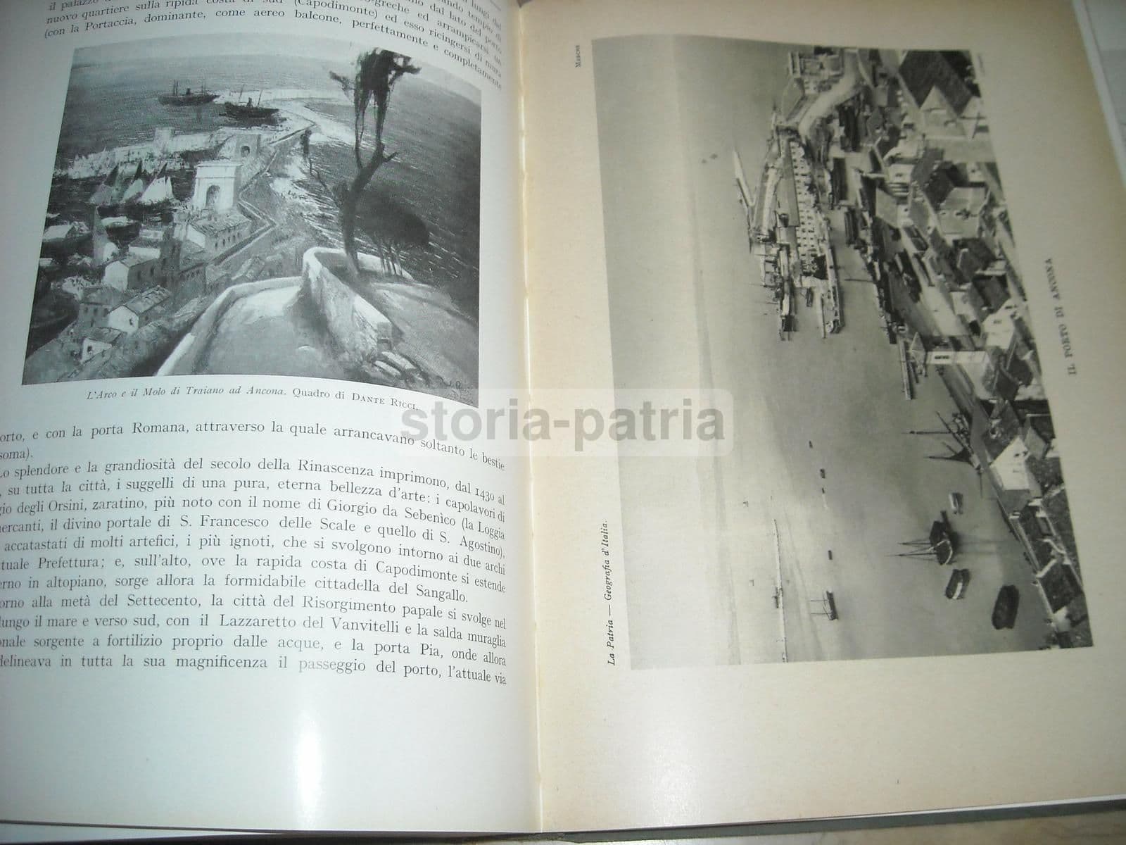 Marche Di Ettore Ricci, Utet 1929. Illustrato Con Mappe E Tavole