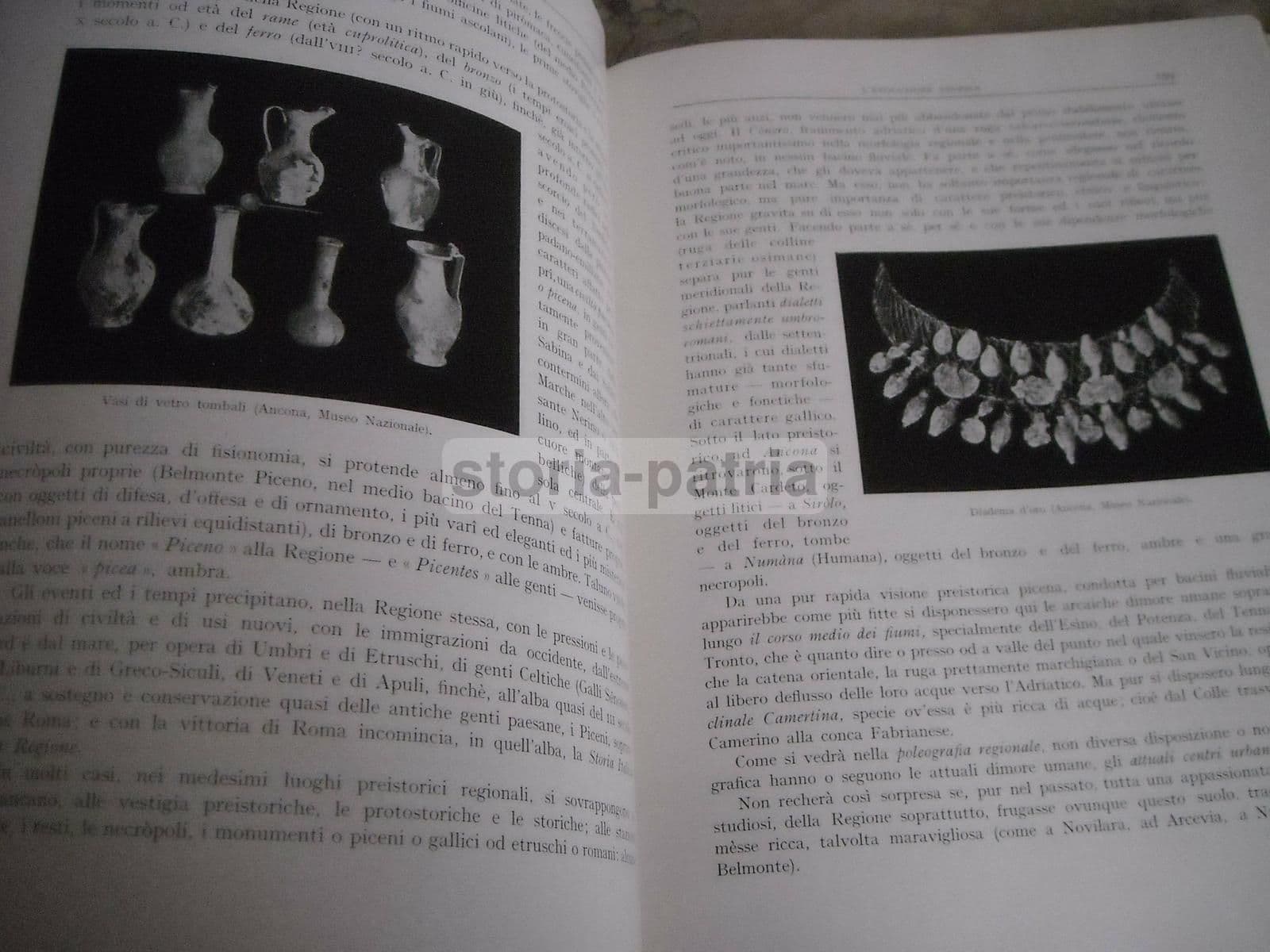 Marche Di Ettore Ricci, Utet 1929. Illustrato Con Mappe E Tavole