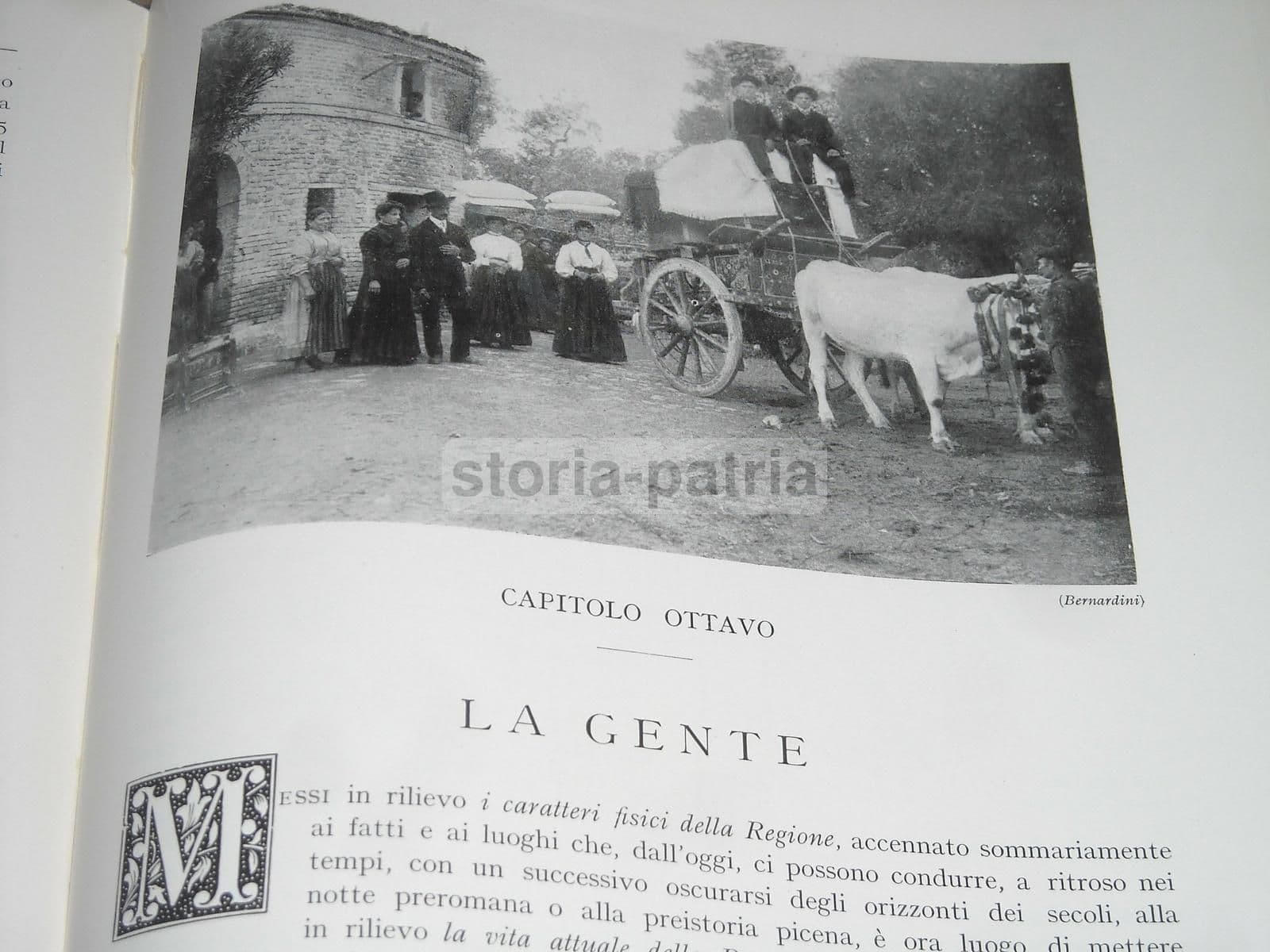Marche Di Ettore Ricci, Utet 1929. Illustrato Con Mappe E Tavole