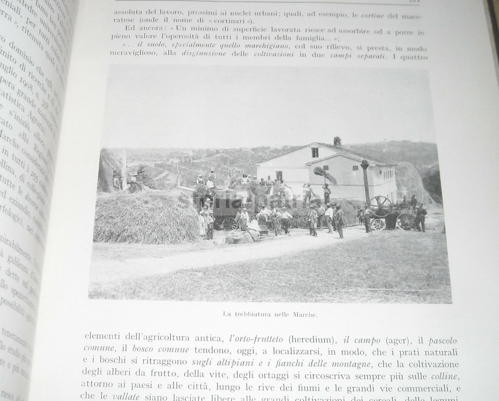 Marche Di Ettore Ricci, Utet 1929. Illustrato Con Mappe E Tavole
