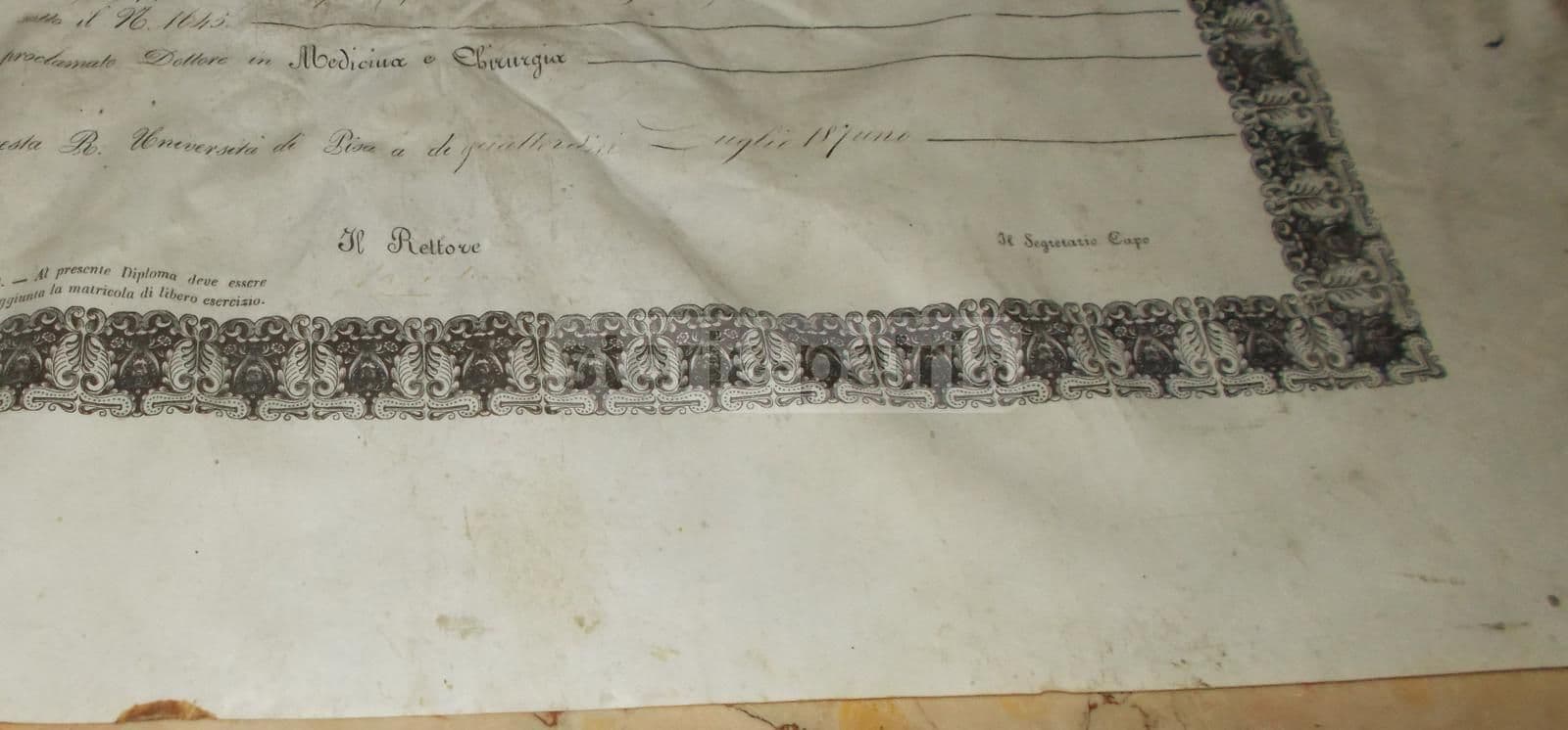 Diploma Di Laurea In Medicina E Chirurgia, Università Di Pisa, 1871