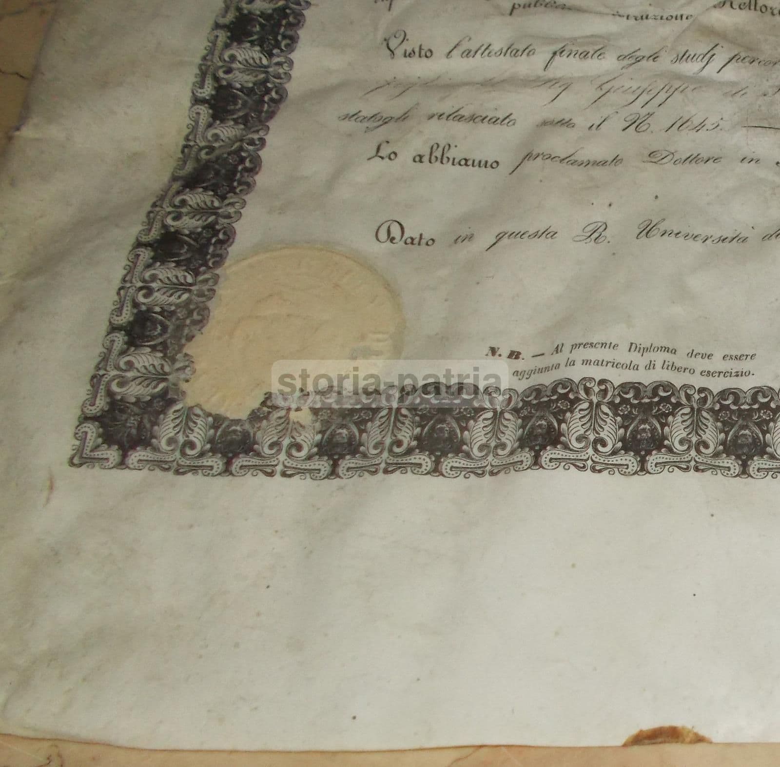 Diploma Di Laurea In Medicina E Chirurgia, Università Di Pisa, 1871