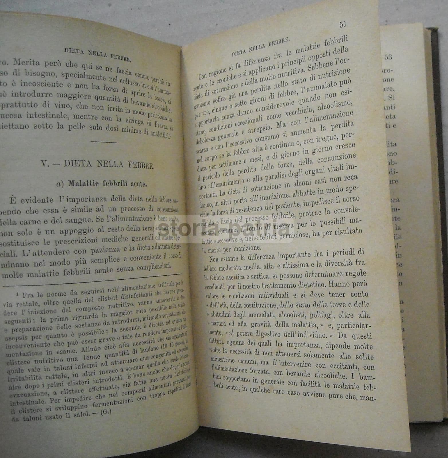 Modo Di Nutrire I Malati E Di Custodirli. Guida Pratica. Federico Schilling, 1896