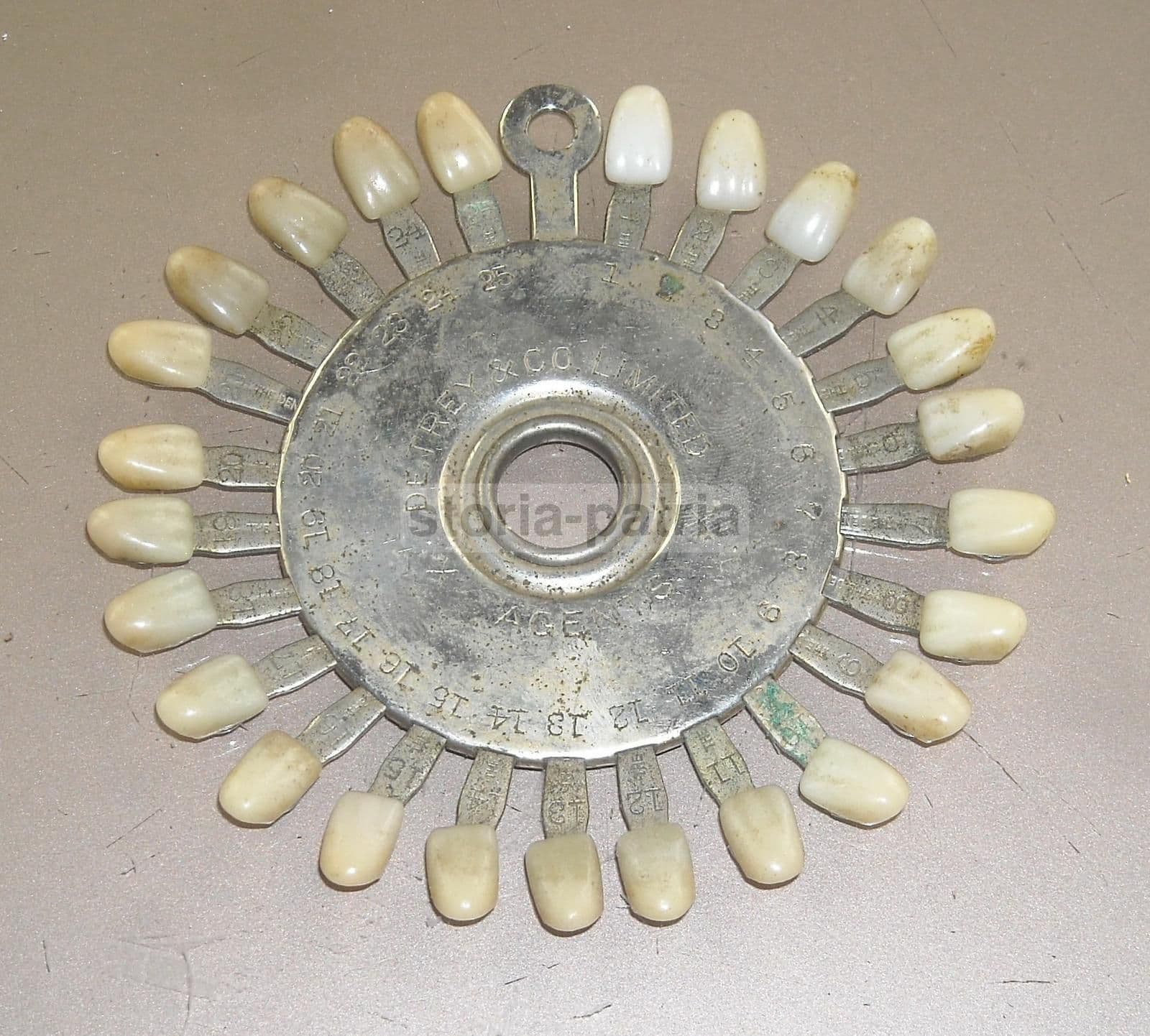 Campionario Resine Odontoiatriche Detrey New York Anni '30