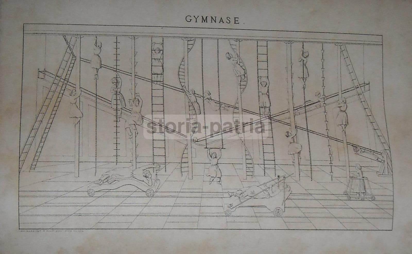 Istituto Ortopedico Di Lione, Dr. Pravaz: Ginnastica Correttiva