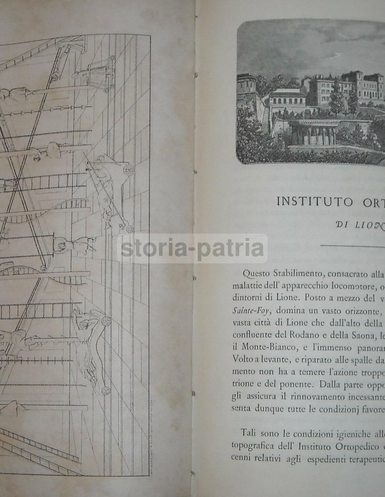 Istituto Ortopedico Di Lione, Dr. Pravaz: Ginnastica Correttiva