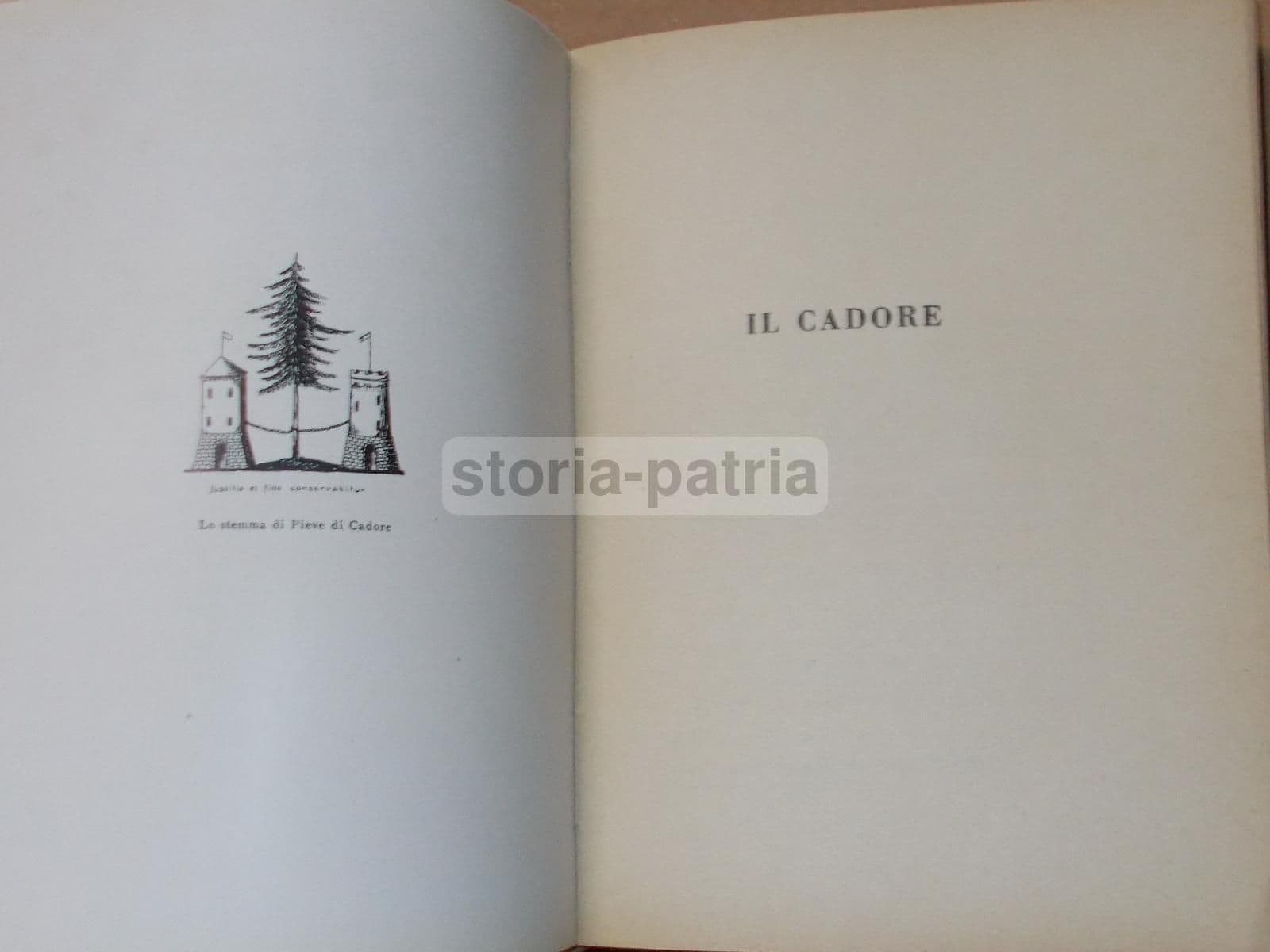 Sui Campi Di Battaglia: Grande Guerra, Cadore, Carnia, Isonzo. CTI, 1938