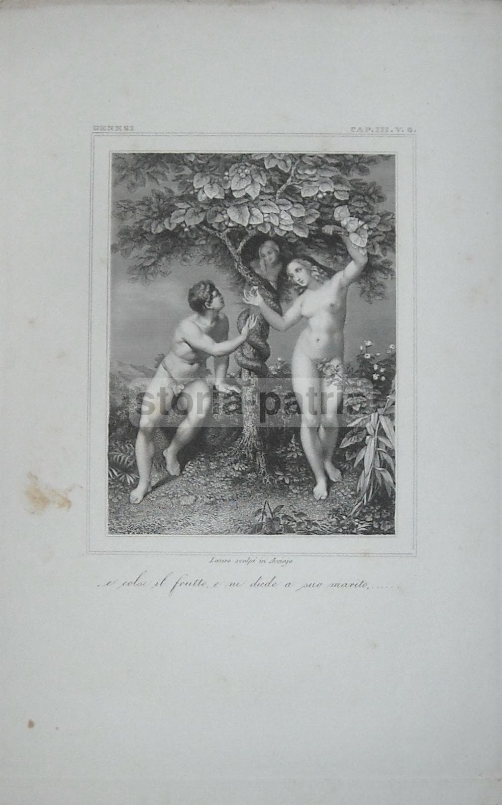 Paradiso Terrestre: Adamo Ed Eva. Incisione Originale In Acciaio Di Lauro, XIX Secolo