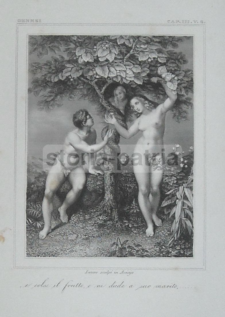 Paradiso Terrestre: Adamo Ed Eva. Incisione Originale In Acciaio Di Lauro, XIX Secolo