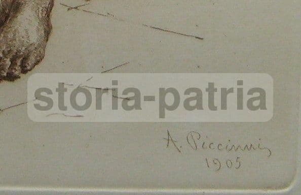 Incisione Originale Di Antonio Piccinni, 1905, Trani, Puglia: Pescatore