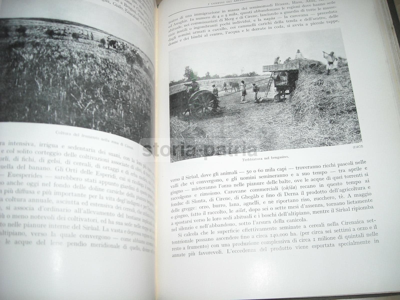 Le Colonie: Rodi E Le Isole Italiane Dell'Egeo (1928) Stefanini E Desio