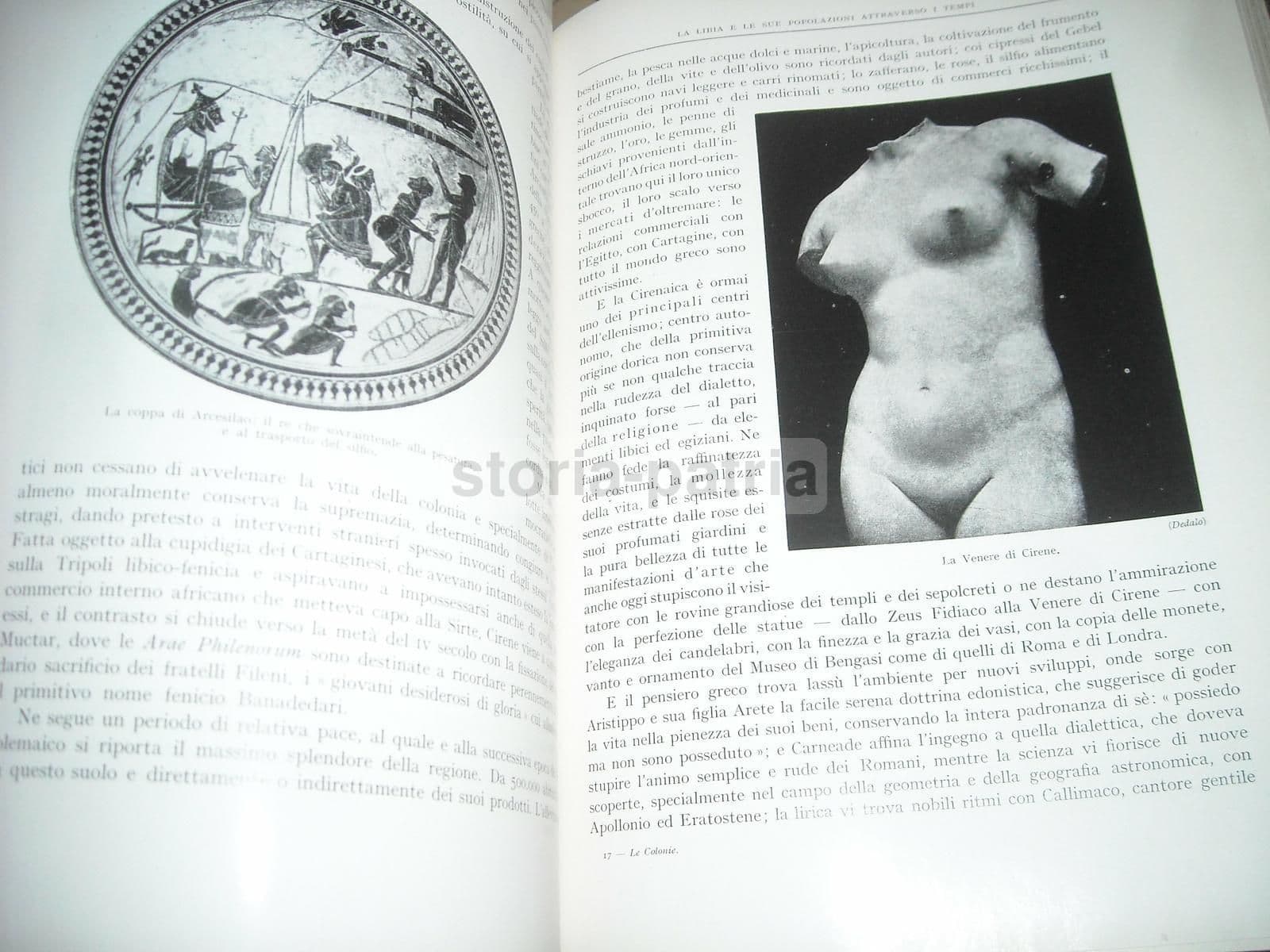 Le Colonie: Rodi E Le Isole Italiane Dell'Egeo (1928) Stefanini E Desio