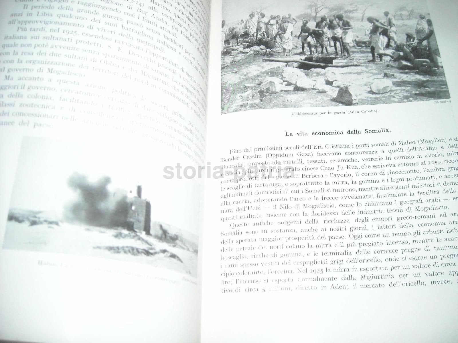 Le Colonie: Rodi E Le Isole Italiane Dell'Egeo (1928) Stefanini E Desio