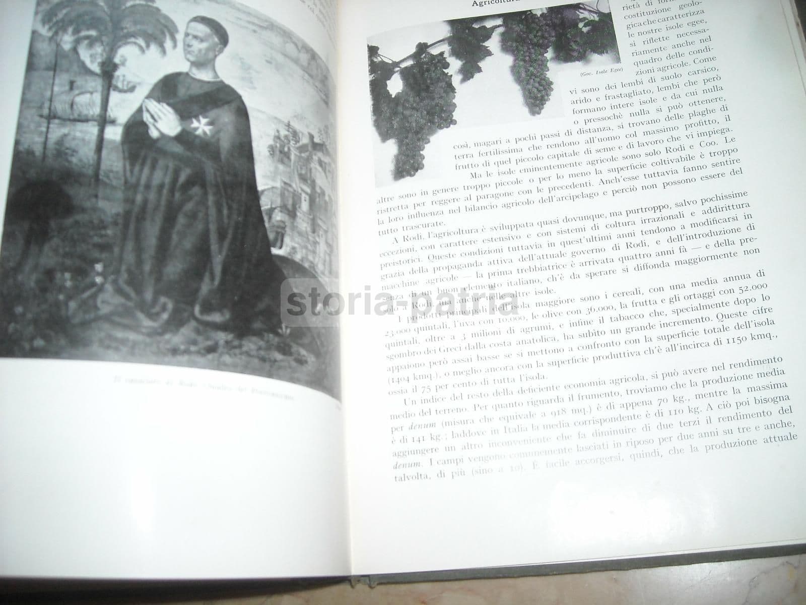 Le Colonie: Rodi E Le Isole Italiane Dell'Egeo (1928) Stefanini E Desio
