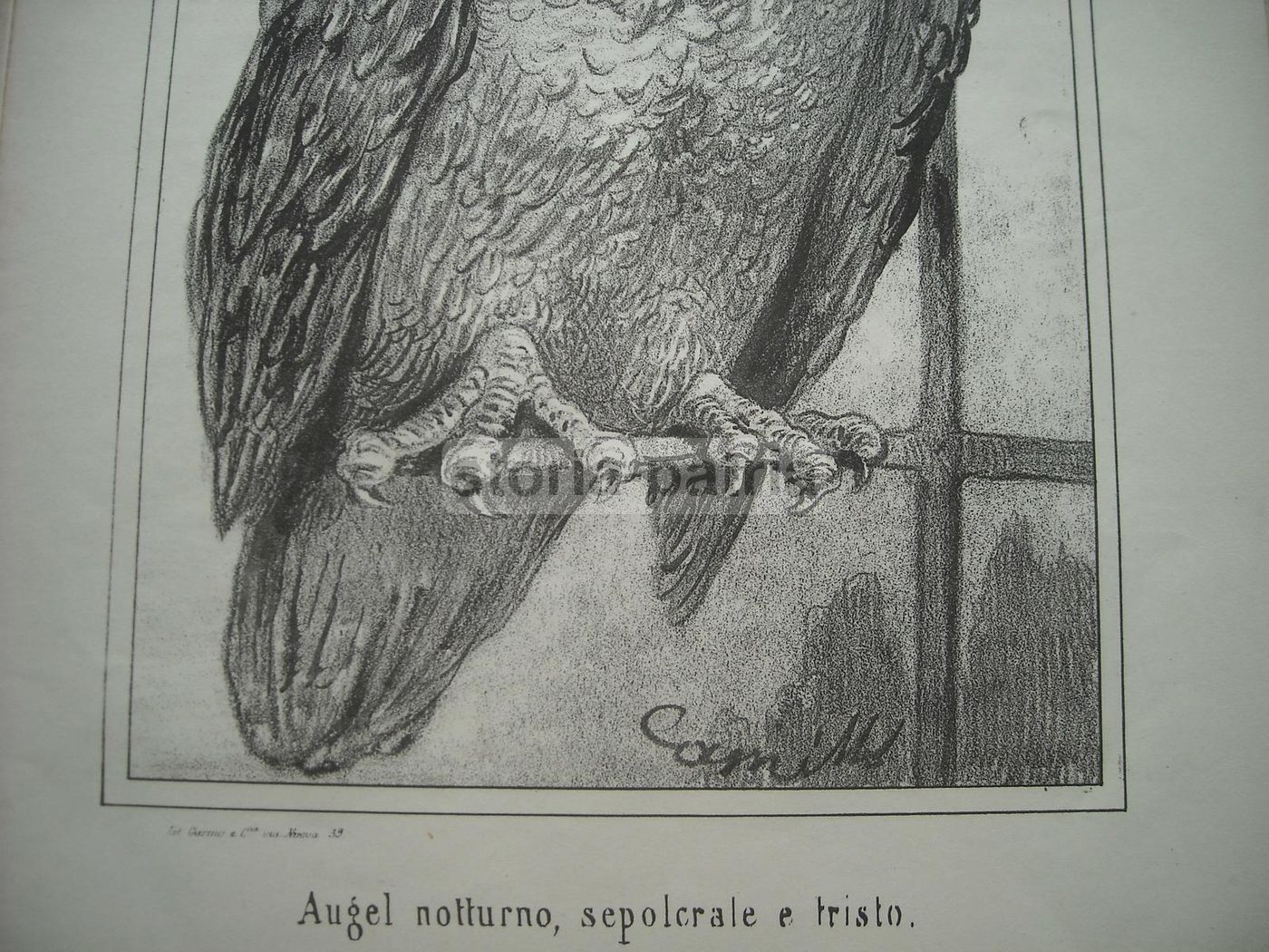 Caricatura Satirica Silvio Spaventa Risorgimento Litografia 1865