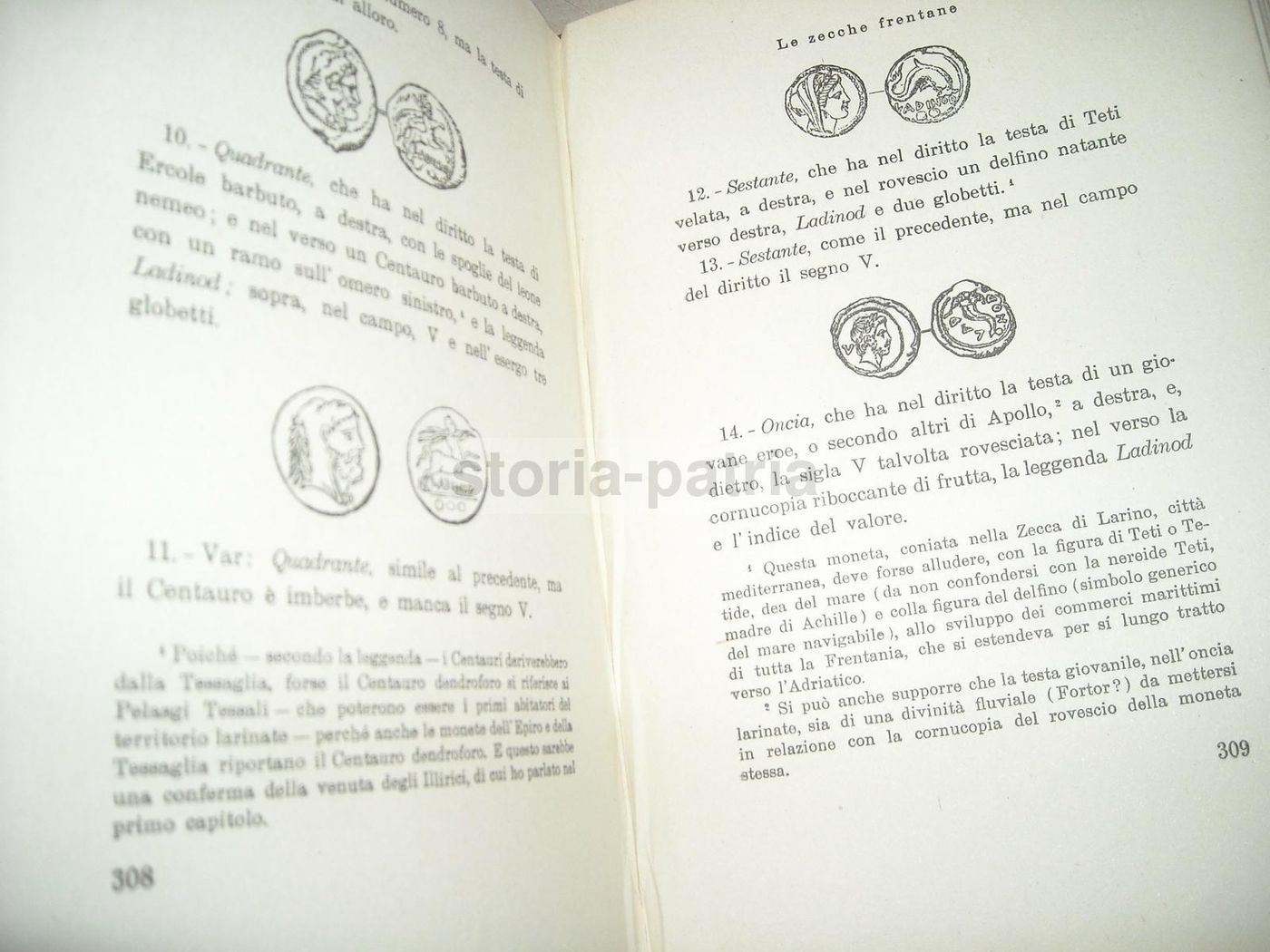 La Frentania Di Domenico Priori, Carabba 1942, Storia Abruzzo Molise