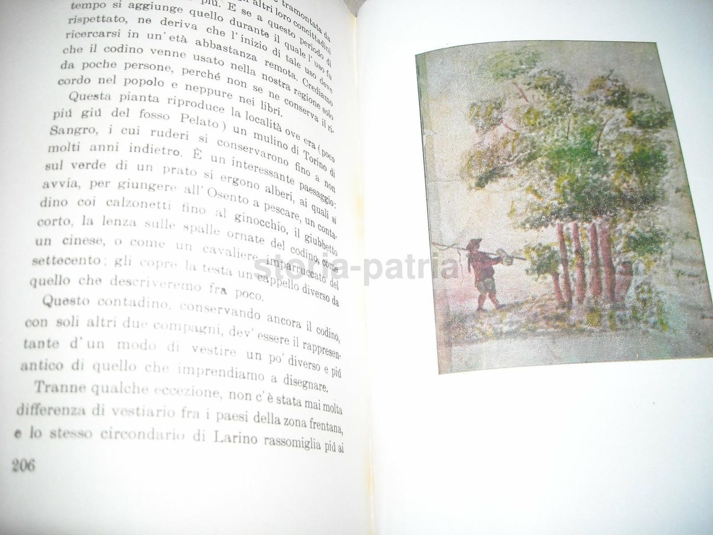 La Frentania Di Domenico Priori, Carabba 1942, Storia Abruzzo Molise