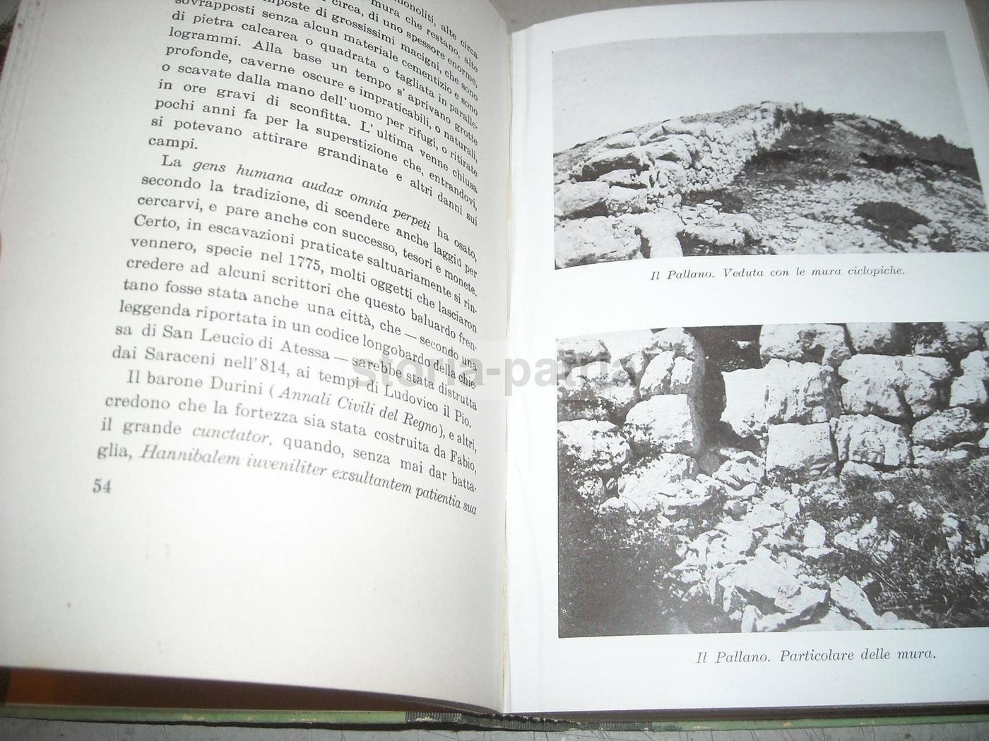 La Frentania Di Domenico Priori, Carabba 1942, Storia Abruzzo Molise