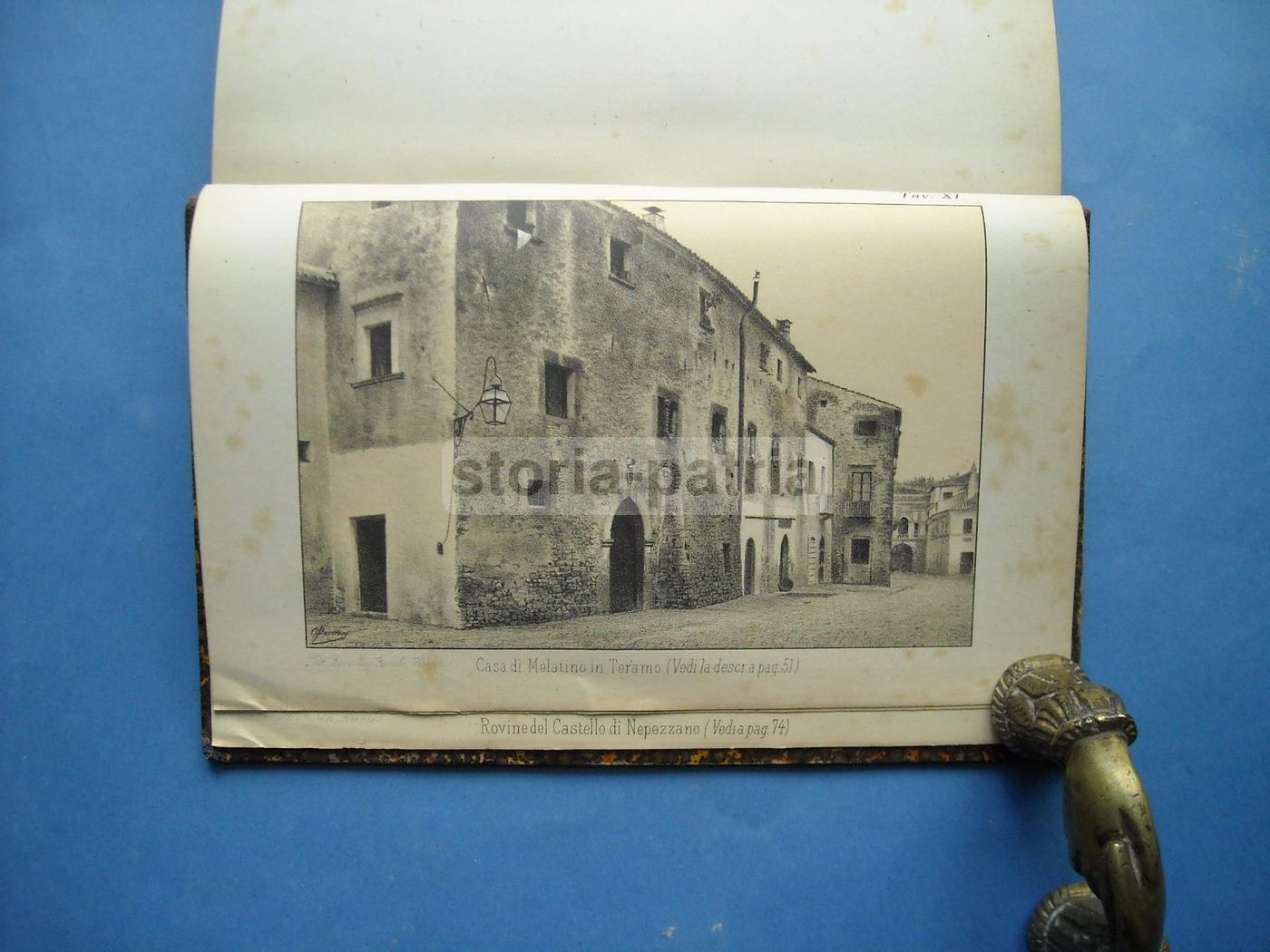 I Signori Di Melatino: Genealogia E Araldica Teramana (1881)