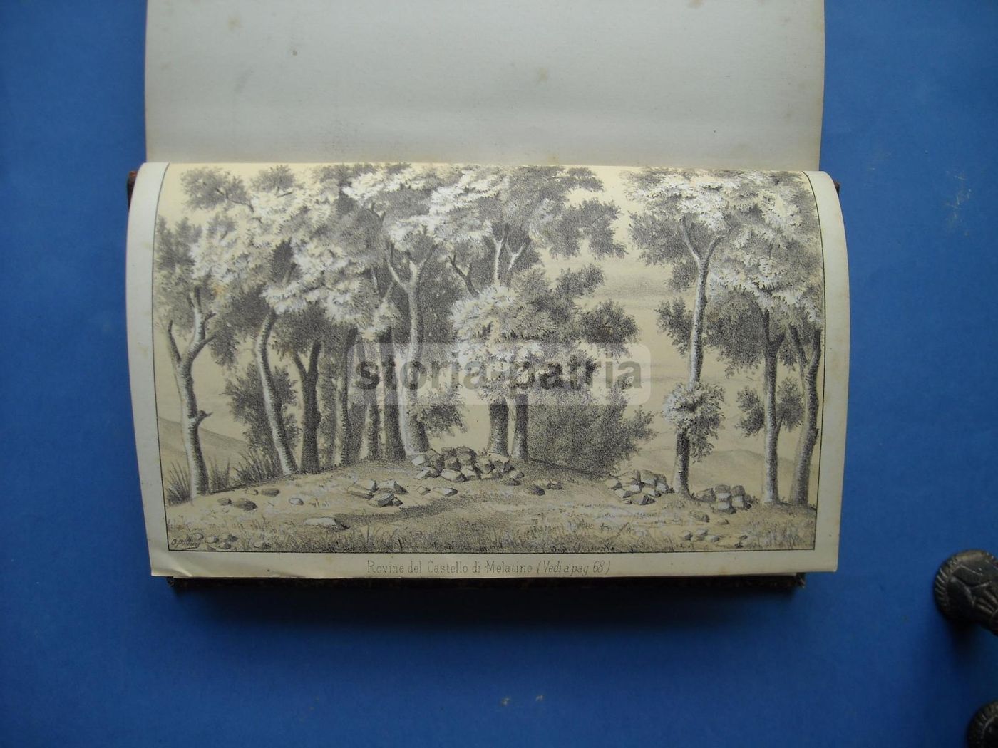 I Signori Di Melatino: Genealogia E Araldica Teramana (1881)