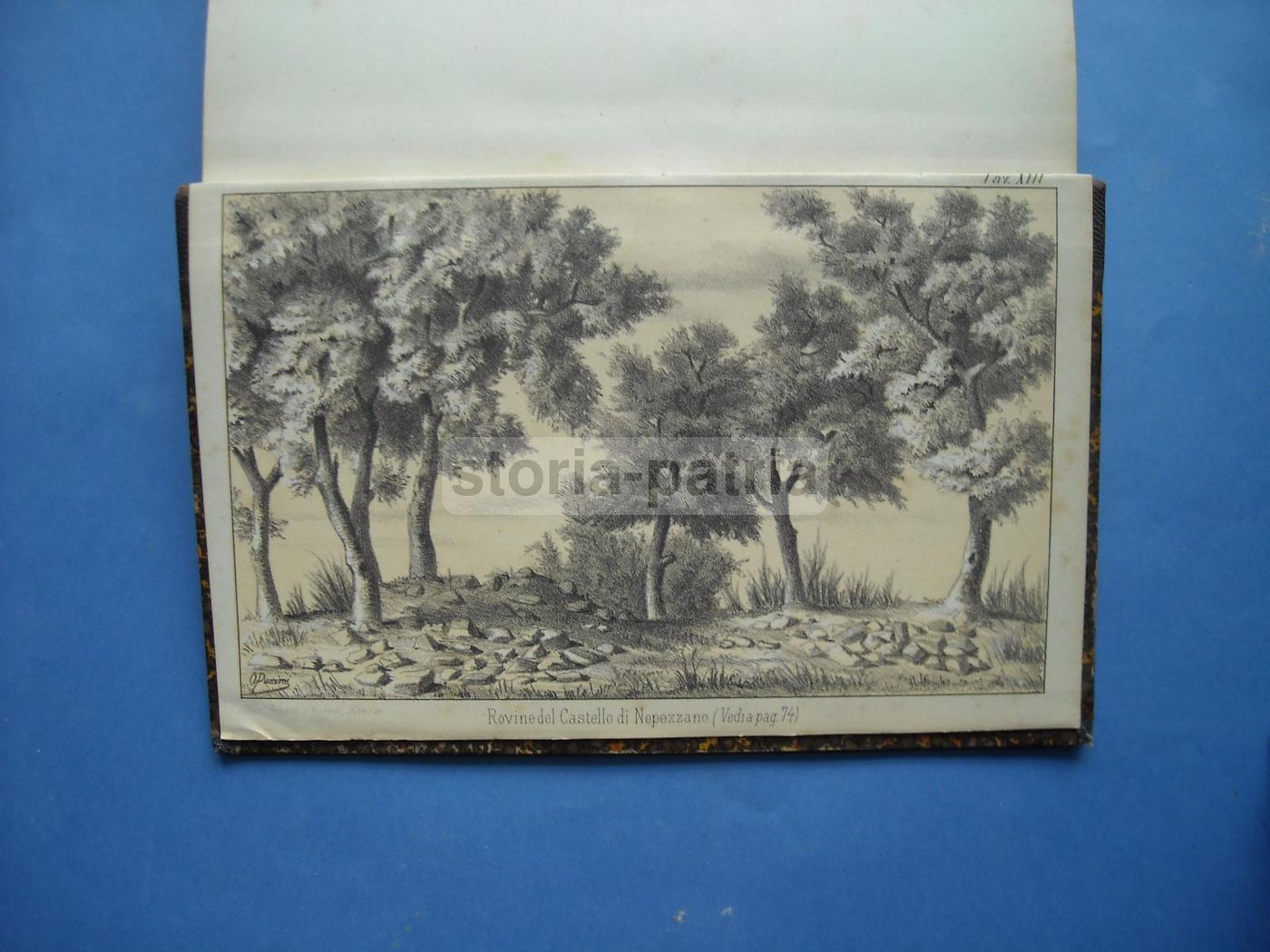 I Signori Di Melatino: Genealogia E Araldica Teramana (1881)