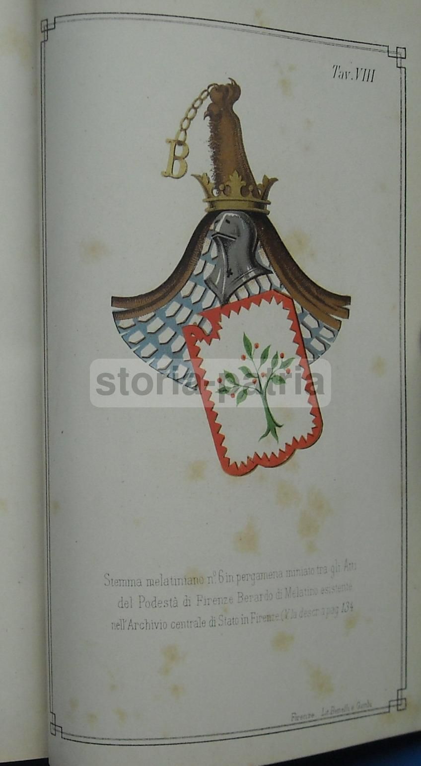 I Signori Di Melatino: Genealogia E Araldica Teramana (1881)