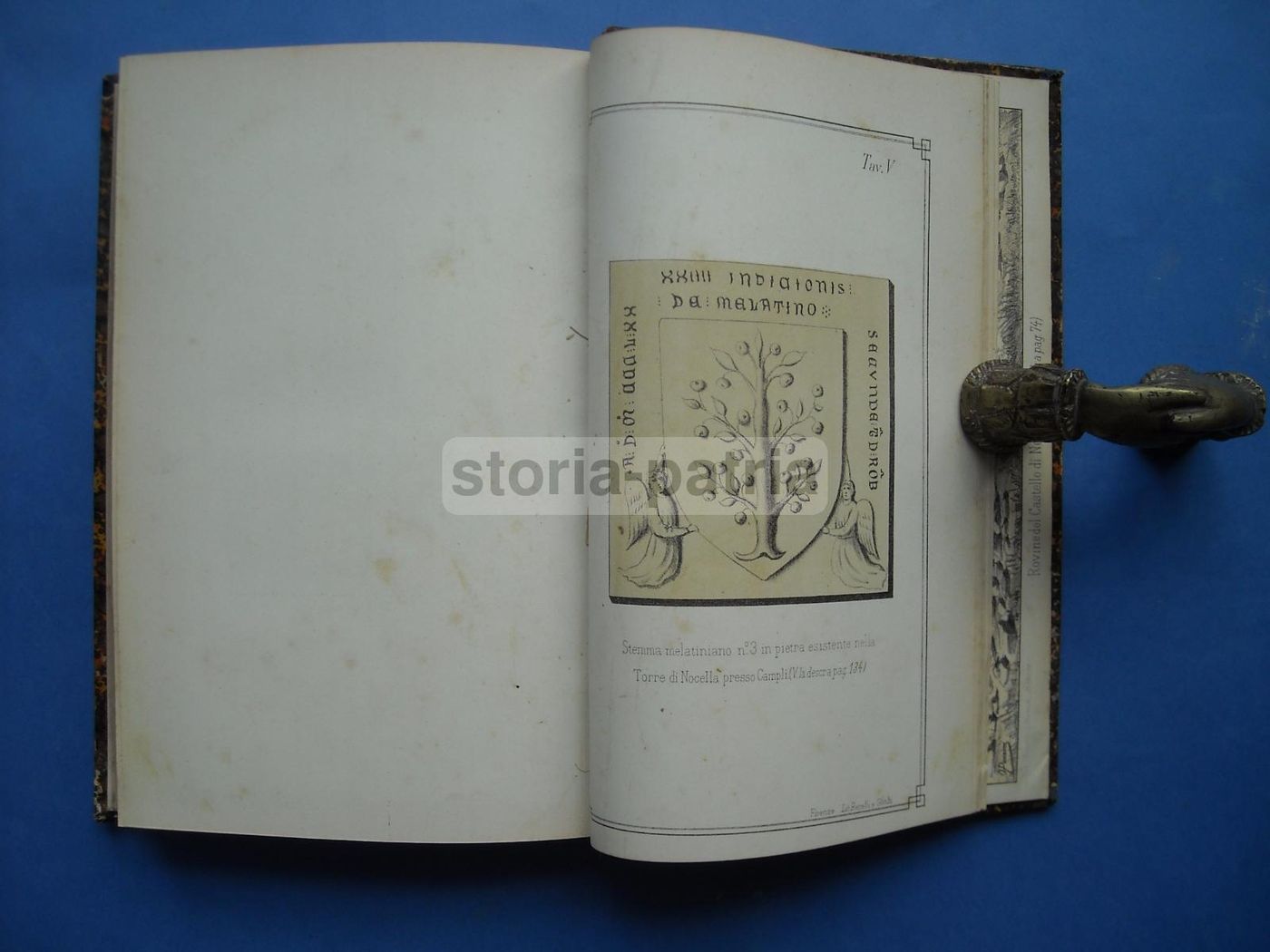I Signori Di Melatino: Genealogia E Araldica Teramana (1881)
