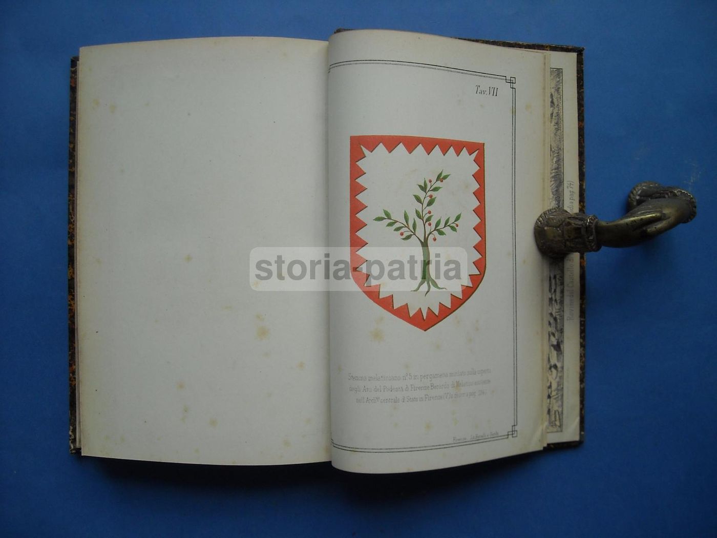I Signori Di Melatino: Genealogia E Araldica Teramana (1881)