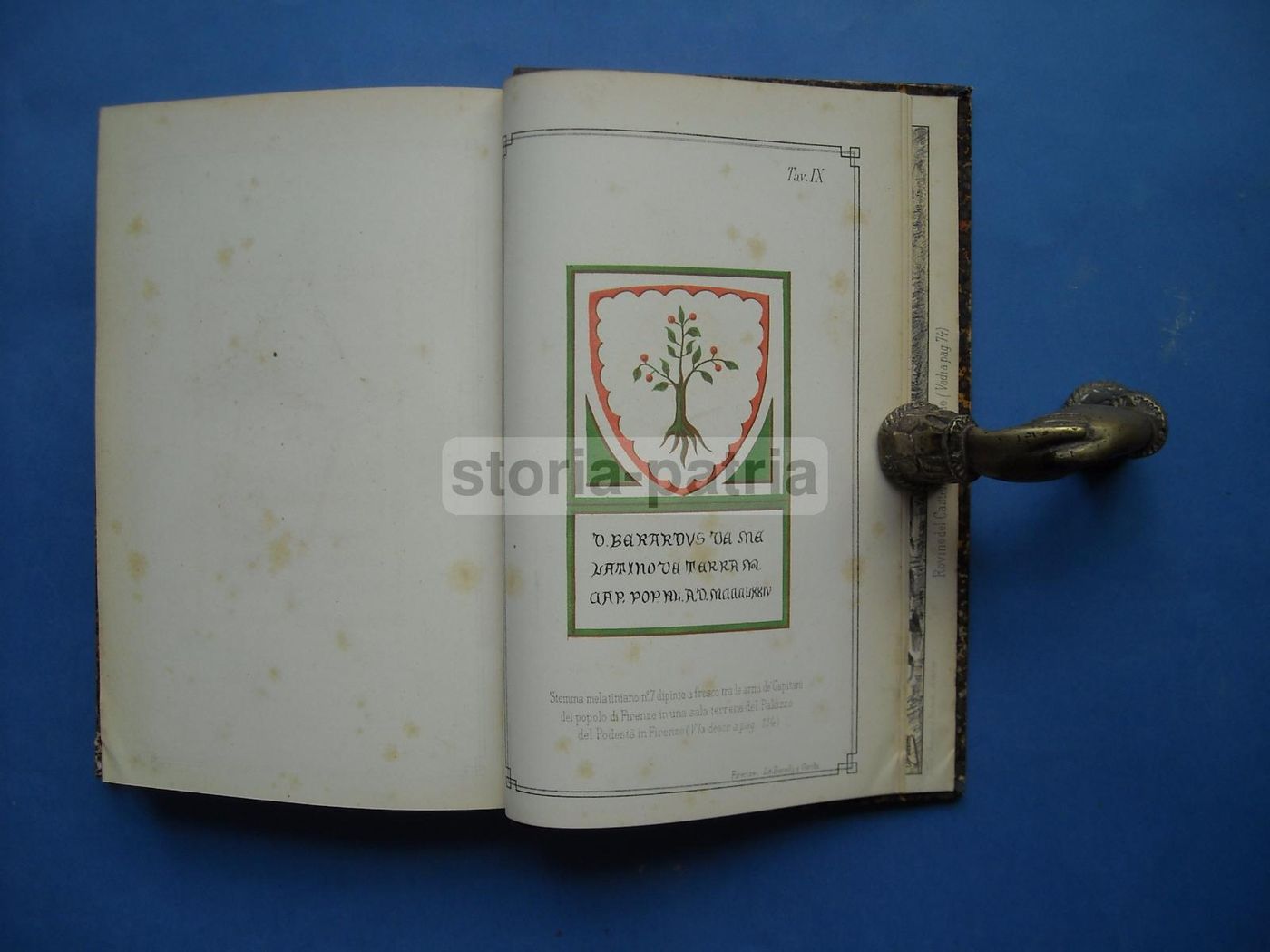 I Signori Di Melatino: Genealogia E Araldica Teramana (1881)