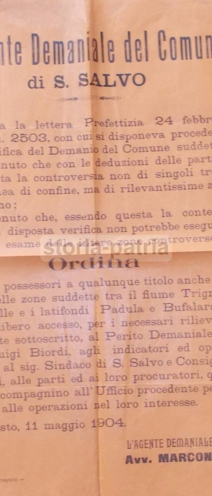 Manifesto Demanio San Salvo, Fiume Trigno, Abruzzo, 1904