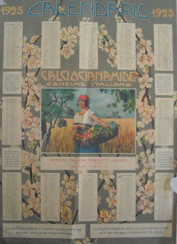 Calendario Pubblicitario 1925 Calciocianamide Concime Italiano