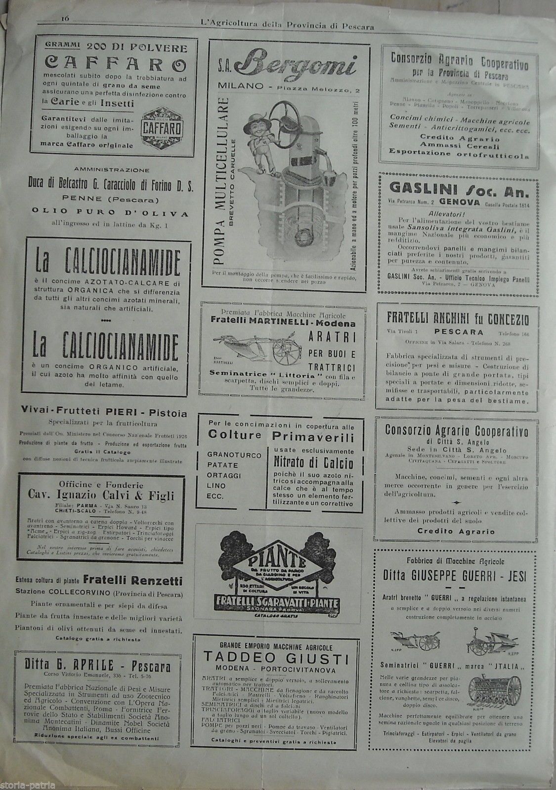 Bollettino Agricoltura Pescara 1937: Erbai, Ricino E Zootecnia