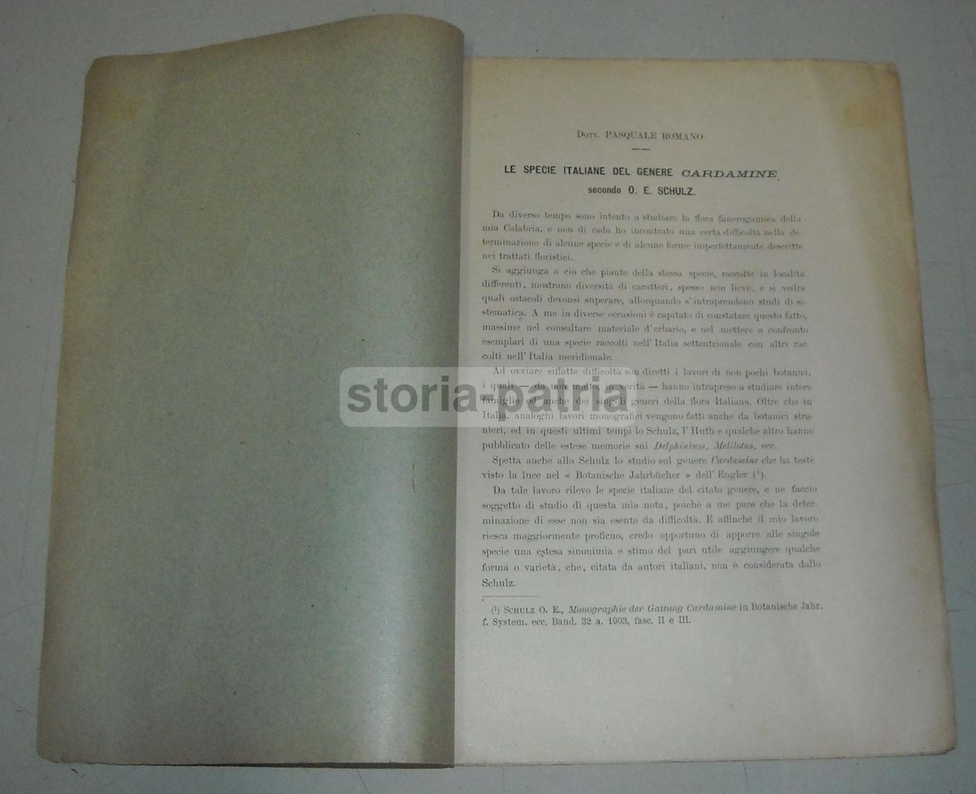Pasquale Romano, Le Specie Italiane Del Genere Cardamine Secondo O.E. Schultz, 1905