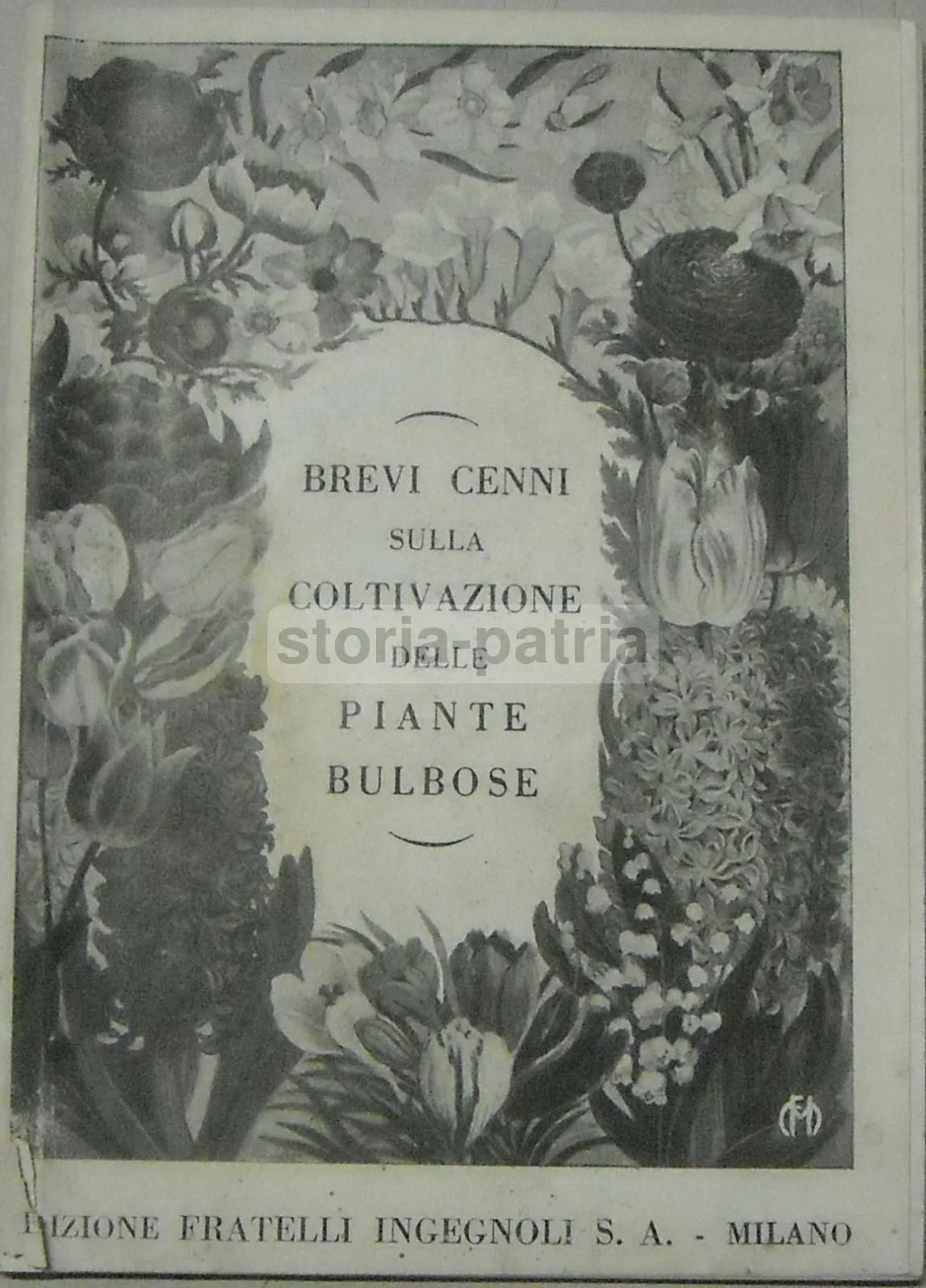 Ingegnoli: Brief Notes on the Cultivation of Bulbous Plants (First Half of the 1900s)
