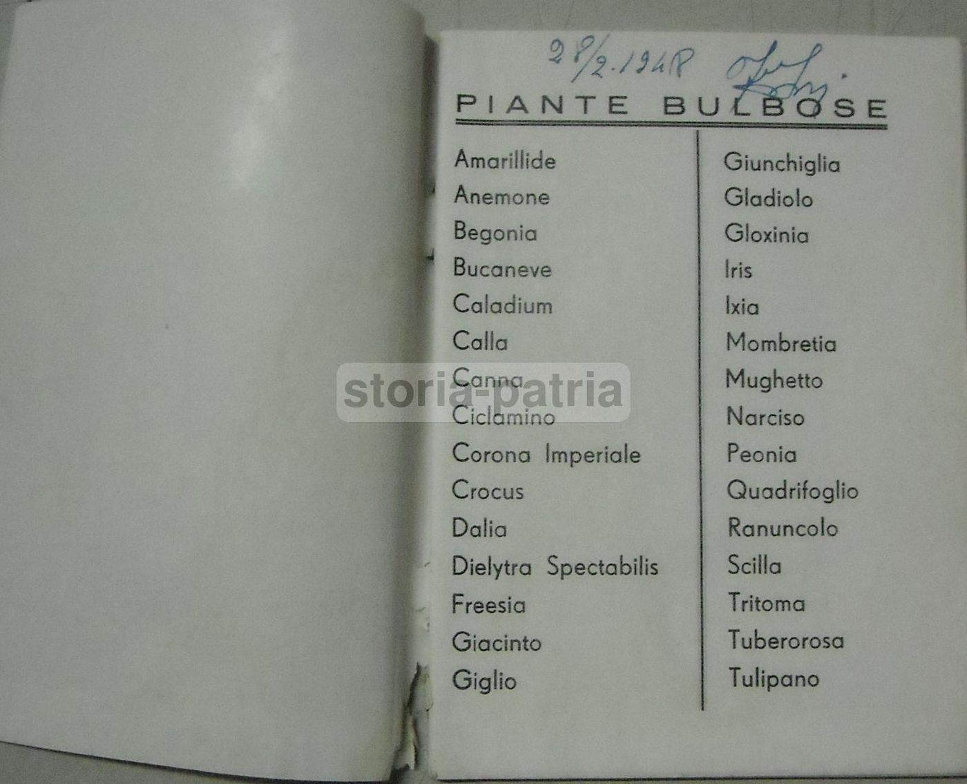 Ingegnoli: Brevi Cenni Sulla Coltivazione Delle Piante Bulbose (prima Metà Del '900)