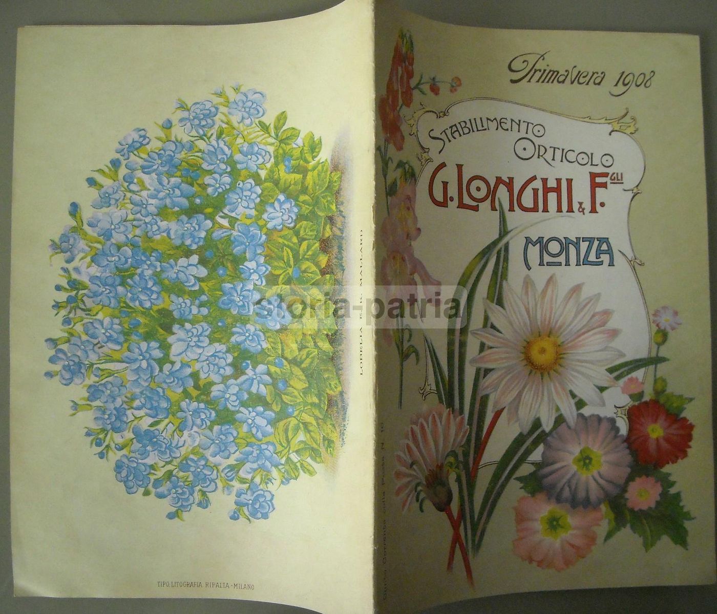 Catalogo Longhi Stabilimento Orticolo Monza 1908 Piante Fiori