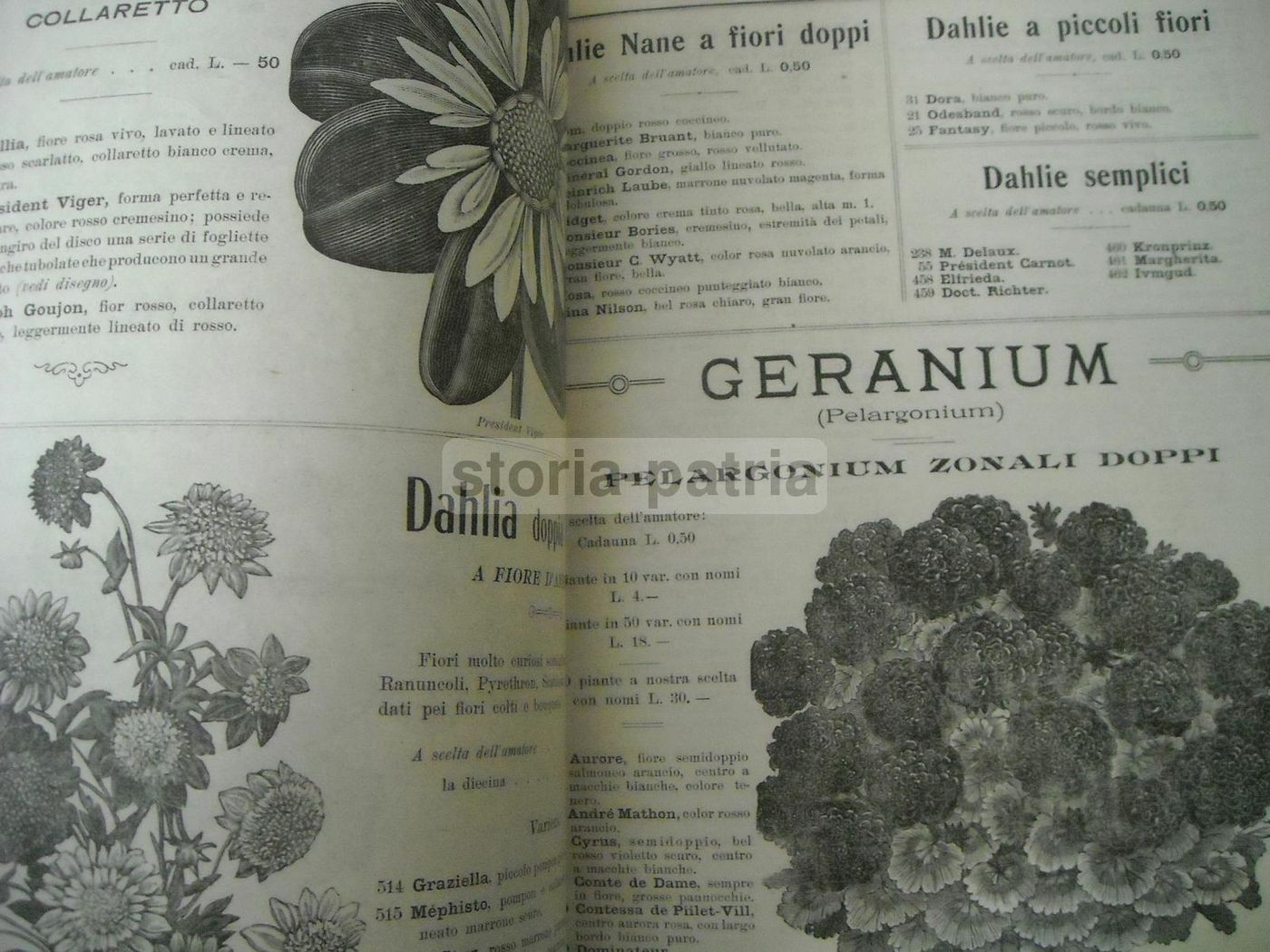 Catalogo Longhi Stabilimento Orticolo Monza 1908 Piante Fiori