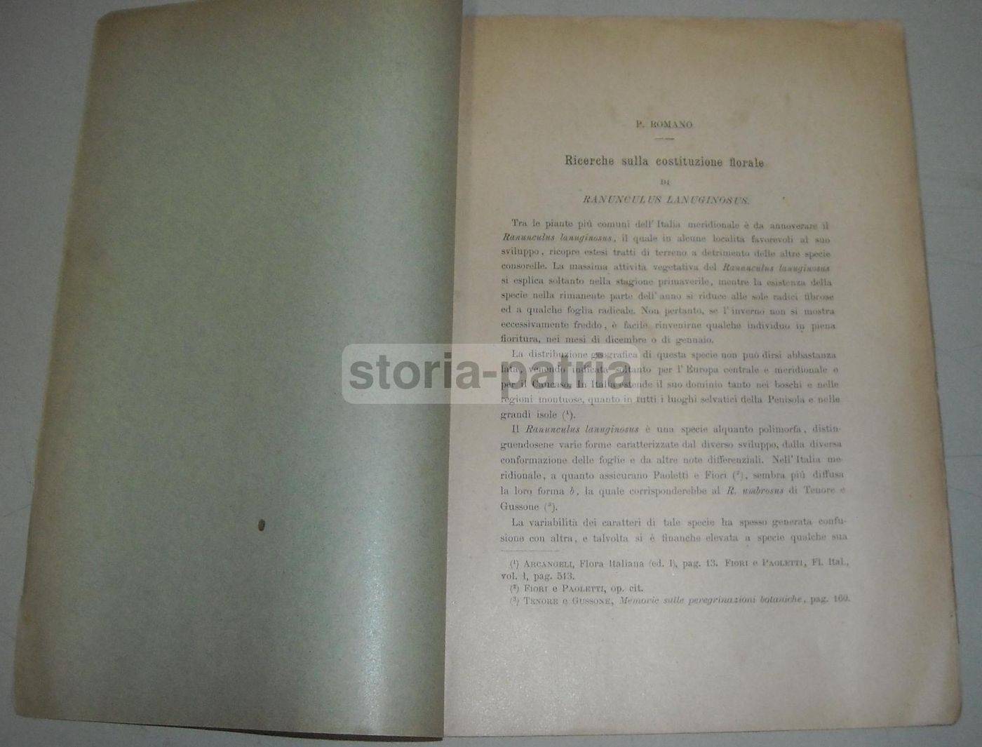 Pasquale Romano: Ricerche Sulla Costituzione Floreale Di Ranunculus Lanuginosus (1905)
