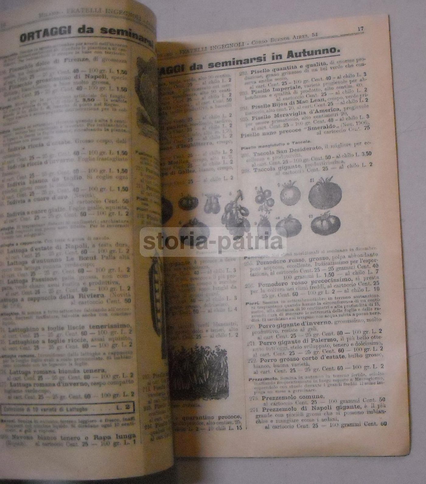 Catalogo Ingegnoli 1906 Sementi Frumento Rieti Fucino Torlonia