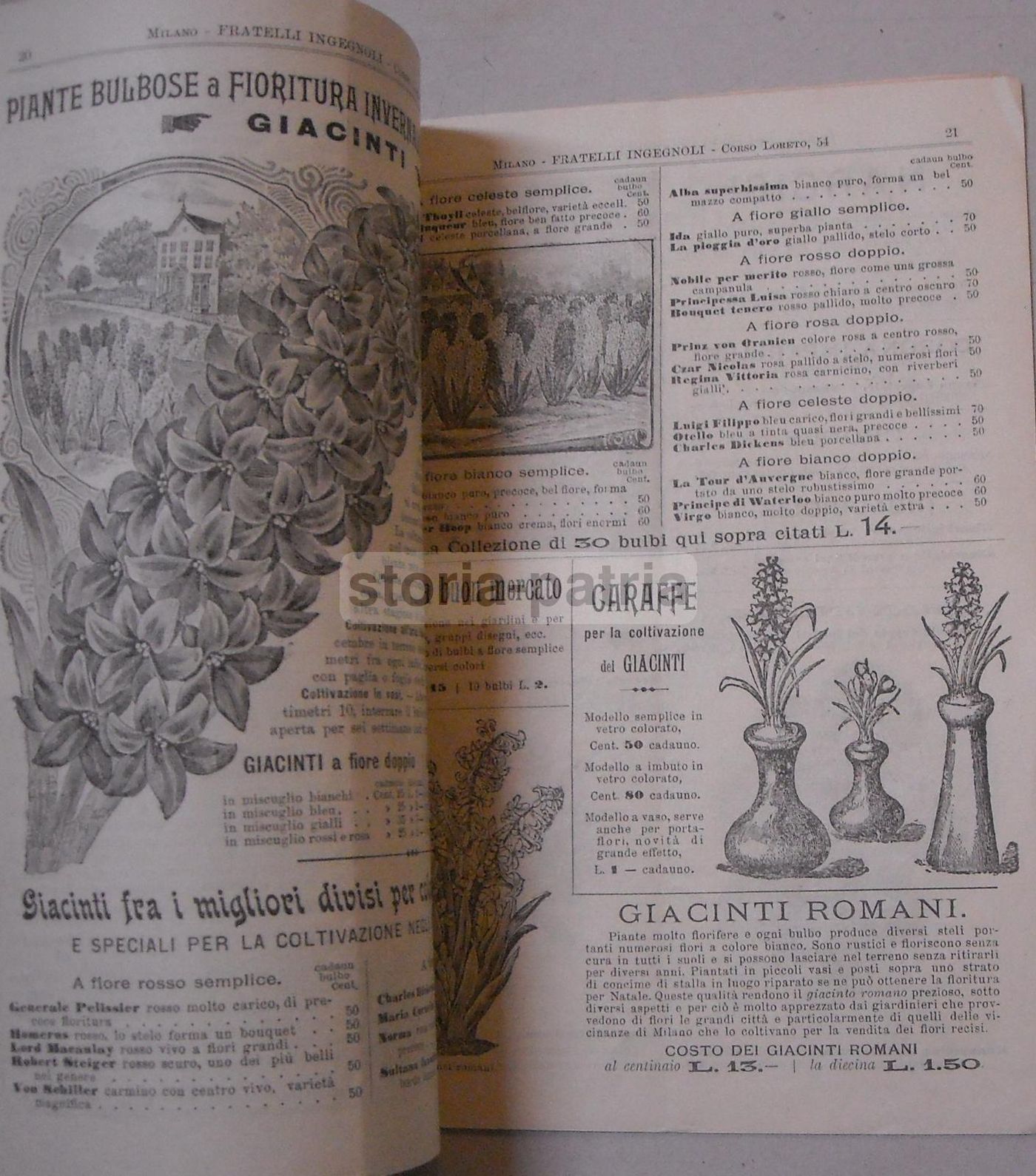 Catalogo Fratelli Ingegnoli 1898: Frumenti, Sementi E Piante