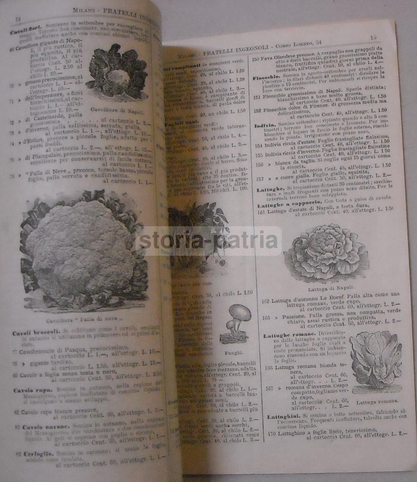 Catalogo Fratelli Ingegnoli 1898: Frumenti, Sementi E Piante