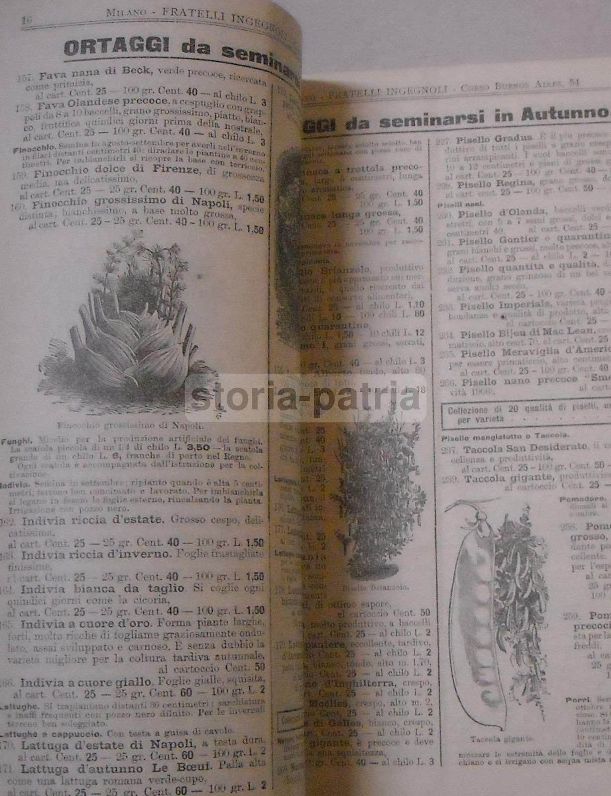 Catalogo Fratelli Ingegnoli 1898: Frumenti, Sementi E Piante