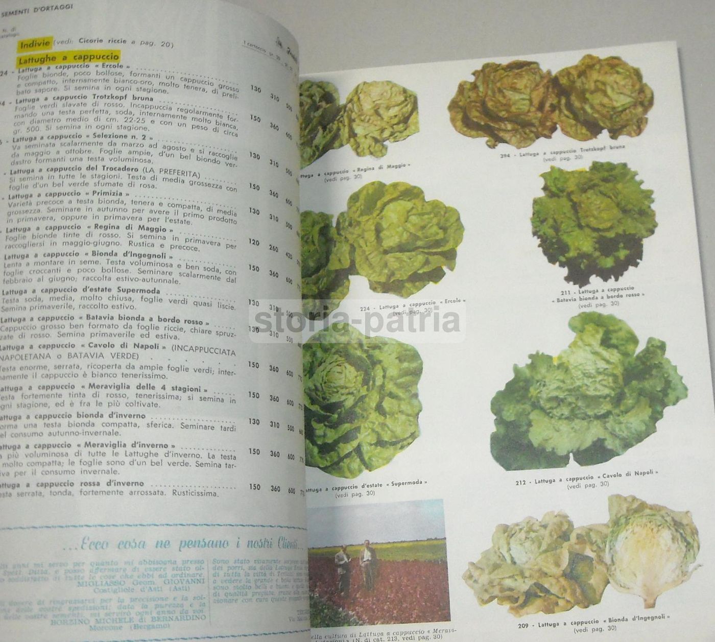 Catalogo Fratelli Ingegnoli 1960 Sementi Fiori Piante Ortaggi